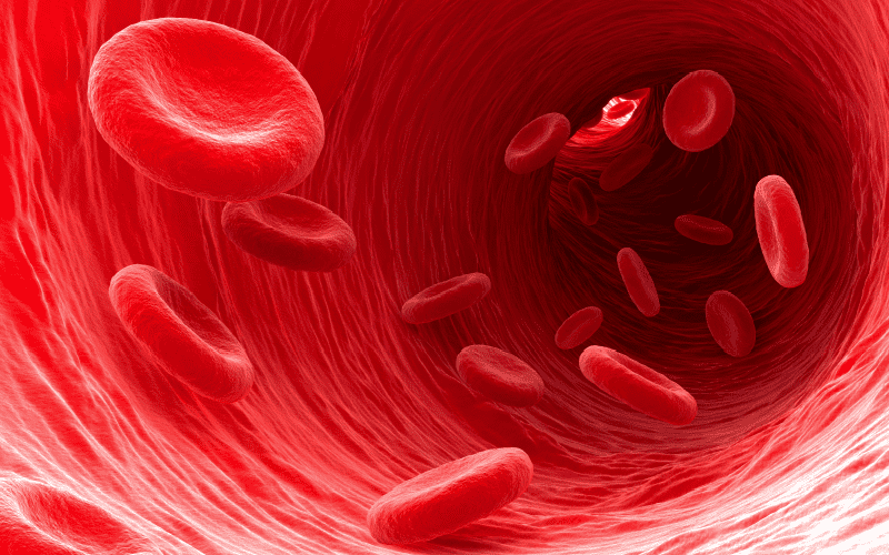 Red Blood Cells Disorder