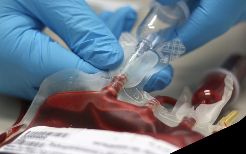 Transfusion Medicine